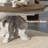 Mohall Round Dining Set with Upholstered Chairs-99258557-98057065