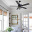 Ventilateur de plafond 52 po à 5 pales en cristal moderne avec lumières et télécommande