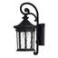 Raley Outdoor Wall Lantern-252640423