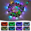 Guirlande de lumières d'extérieur 48 pi RVB Lovette - 15 ampoules DEL, corde de fée pour décoration de jardin et de patio
