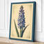 Hyacinth Study Botanical - Wrapped Canvas-1303358999-1303359004