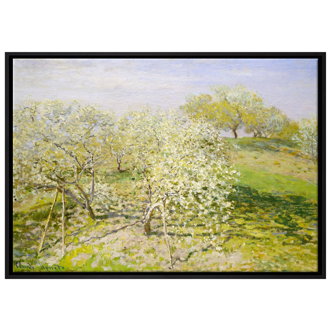 Gerahmtes Leinwandbild Spring Apple Trees in Bloom von Claude Monet