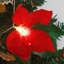 Guirlande de fleurs de poinsettia 6 pi 7 po