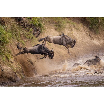 Great Migre - Photographie sur toile tendue