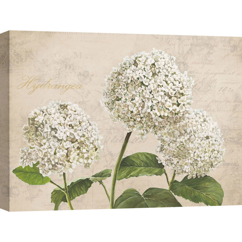 Hydrangeas (neutre) by Remy Dellal - Wrapped Canvas Painting, 50cm H x 70cm W x 4cm D