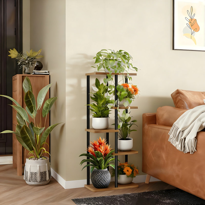 Support à plante pour 5 plantes