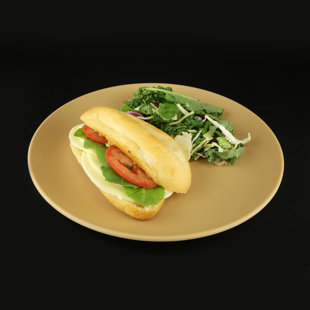 Greenovations 11" Dinner Plate (Set of 6)