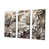 Toile tendue