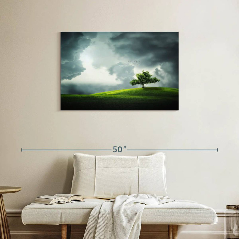 Alvord Cloudy Field