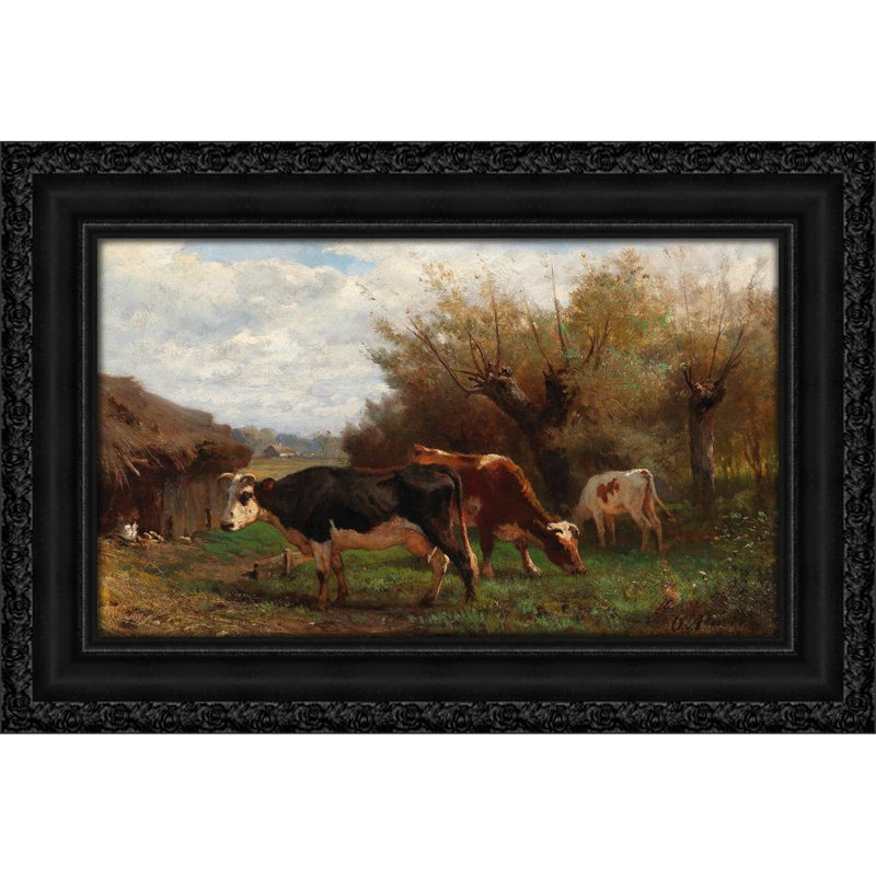 Cows Grazing