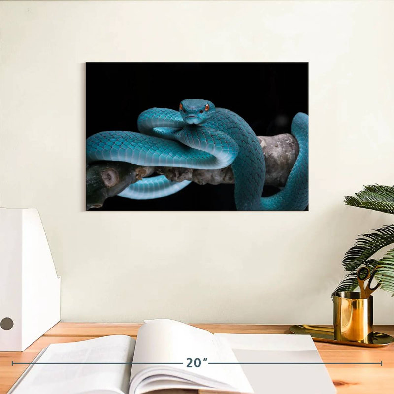 Serpent Brampt sur une branche, H 8 po x l 12 po