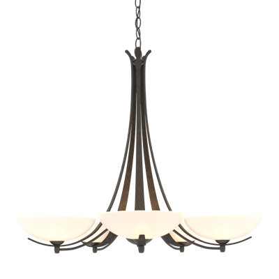 Aegis 5 - Light Shaded Classic/Traditional Chandelier