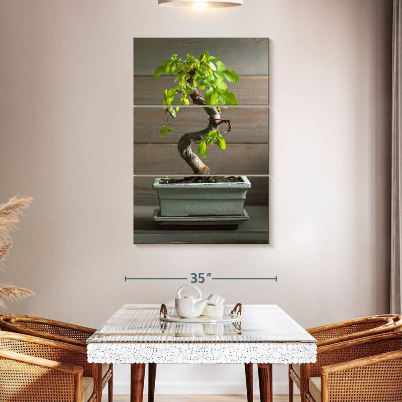 Harnek Bonsai Tree In A Pot