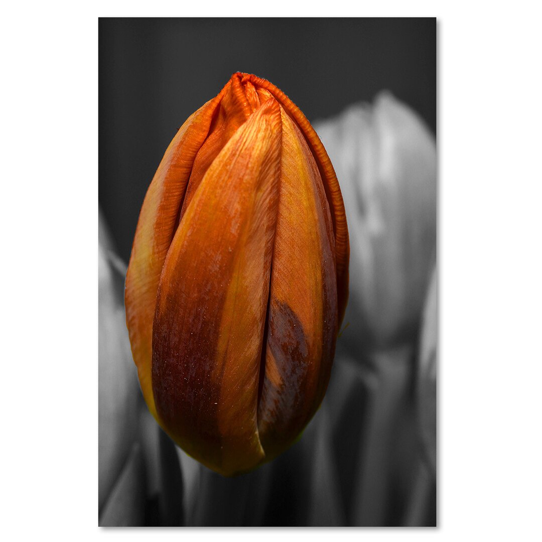 Leinwandbild Orange Flowers