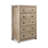 Montauk Solid Wood 32.5'' W 5-Drawer Chest-23618276