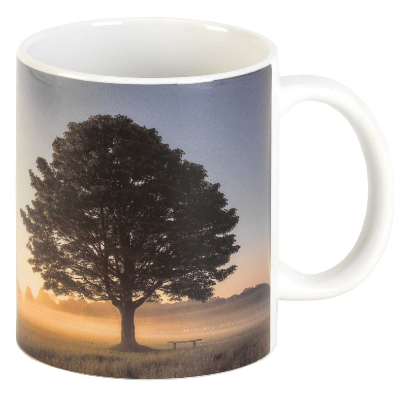 Desyre Ceramic Coffee Mug
