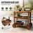 Bar Cart woth Extendable Table Top and Storage System