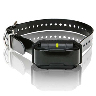 SureStim M Plus Extra collier de chien