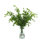 Organic Modern Faux Ivy Plant