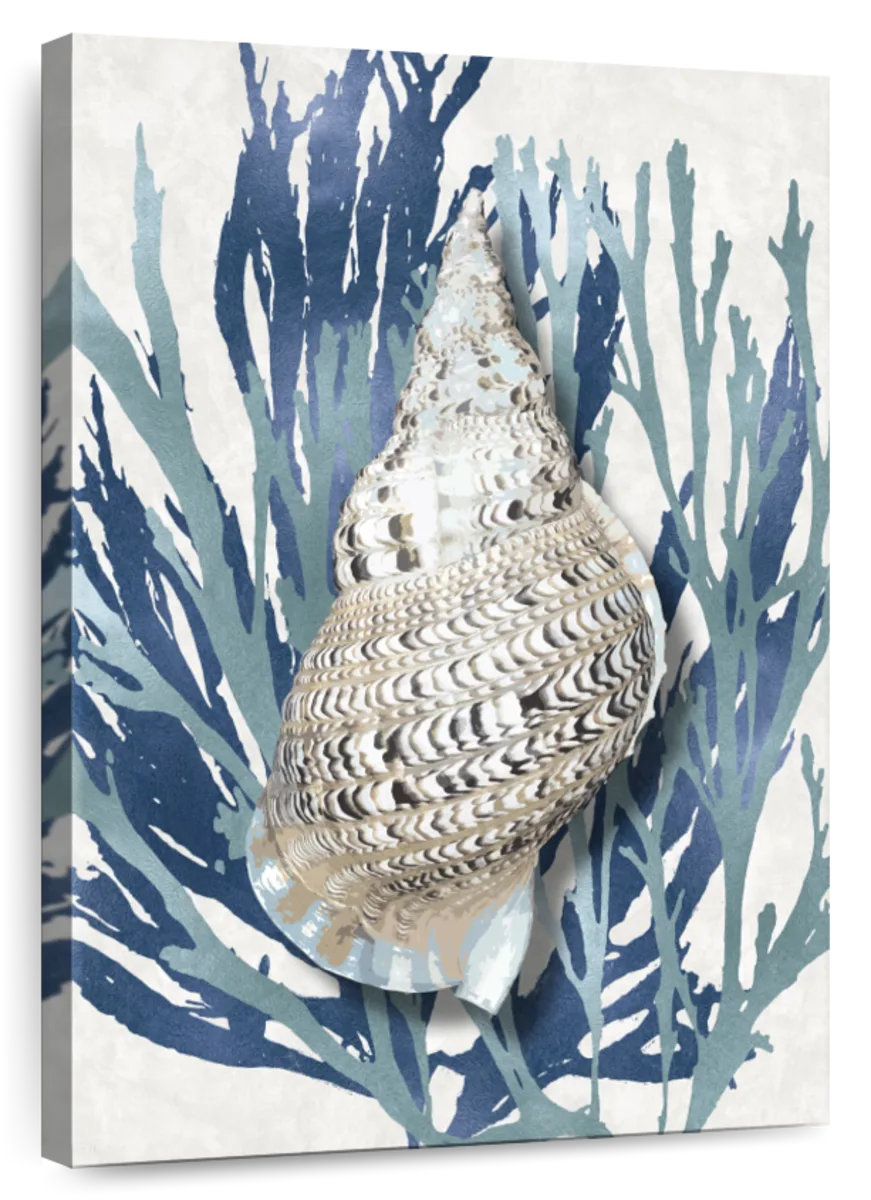 Breakwater Bay Aletra Shell Coral Aqua Blue I | Wayfair