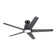 Akhavi Ceiling Fan with LED Lights