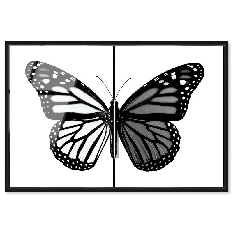 Art mural «Duality of a Monarch III» par , H 37 po x l 55 po, Cadre en acrylique noir