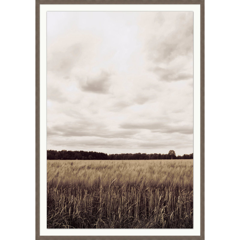 Muted Fields Wall Art & Signage