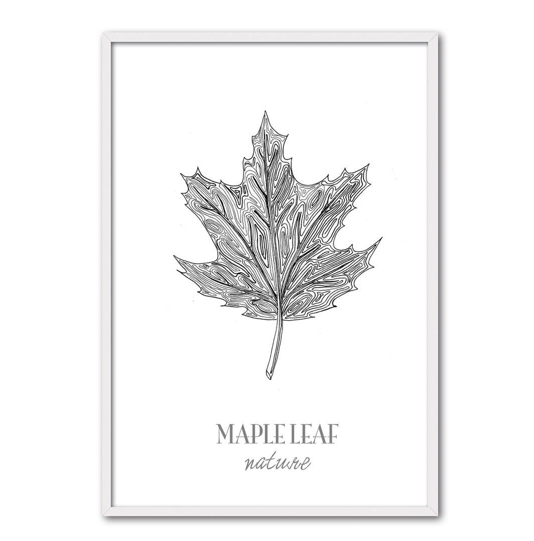 Gerahmtes Poster Maple Leaf von César Ortiz Echagüe