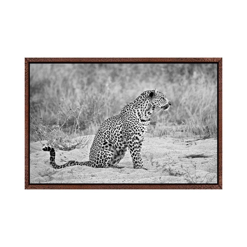 Leopard In Black And White - Print on Canvas, Classic Brown Wood Framed, 66.04 cm H x 45.72 cm W