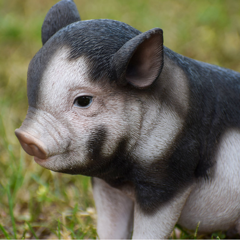 Sitting Baby Pig Statue, Dark Brown