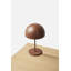 Pin Lamp-1426218558