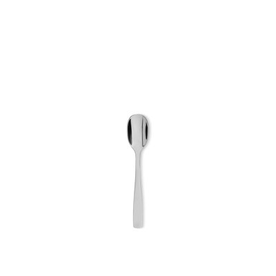 Stainless Steel Dinner Spoon