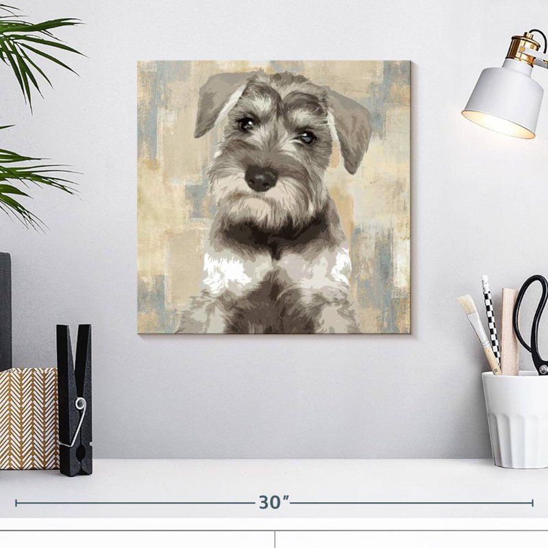Crowle Miniature Schnauzer, 16" H x 16" W
