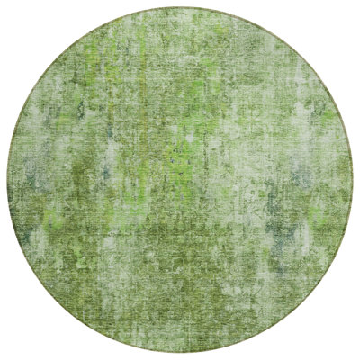  Caseville Area Rug