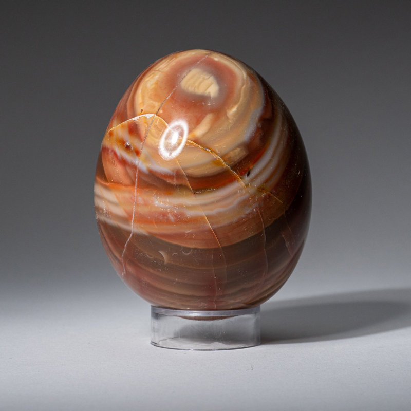 Véritable œuf polychrome poli de Madagascar (0,92 lb)