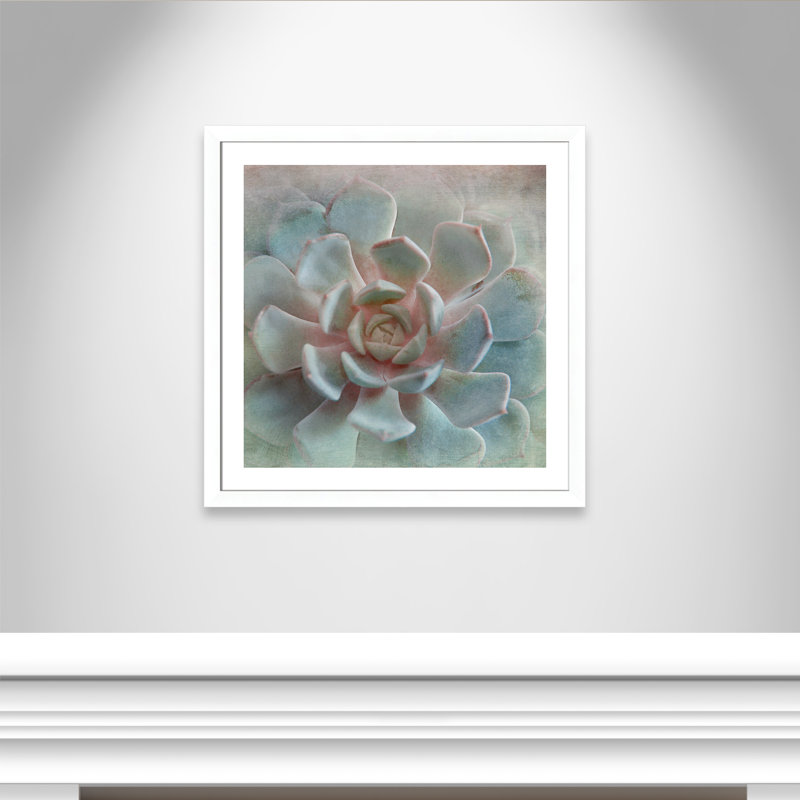 «Flaherty Pastel Succulent II», reproduction de photo encadrée, Blanc mat, H 33,5 po x l 33,5 po x P 1,25 po