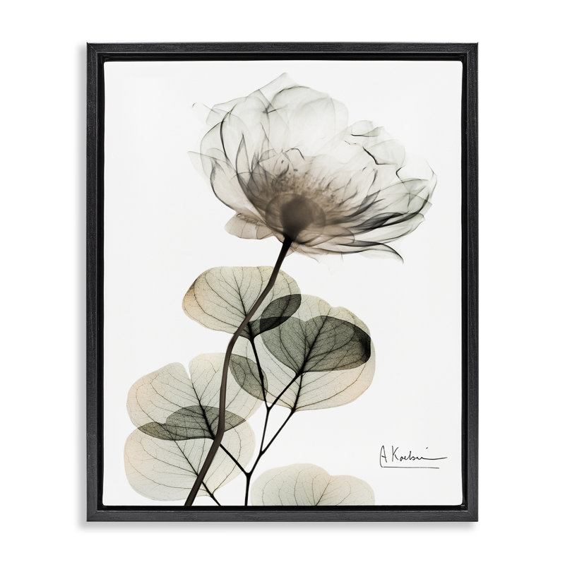 Cadre simple et élégant avec fleurs blanches flottantes, design par Albert Koetsier, Cadre flottant noir de jais