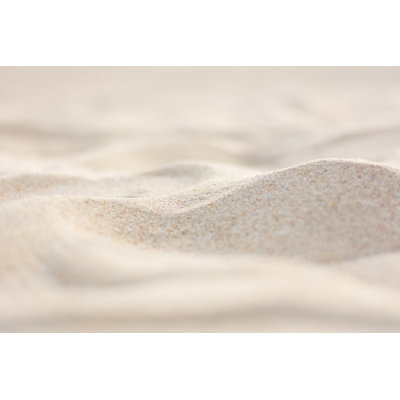 Sandon White Background - Wrapped Canvas Print