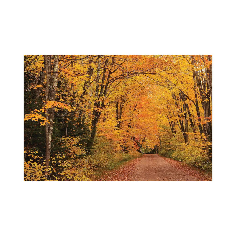 Shady Lane by Brian Wolf - Wrapped Canvas Print