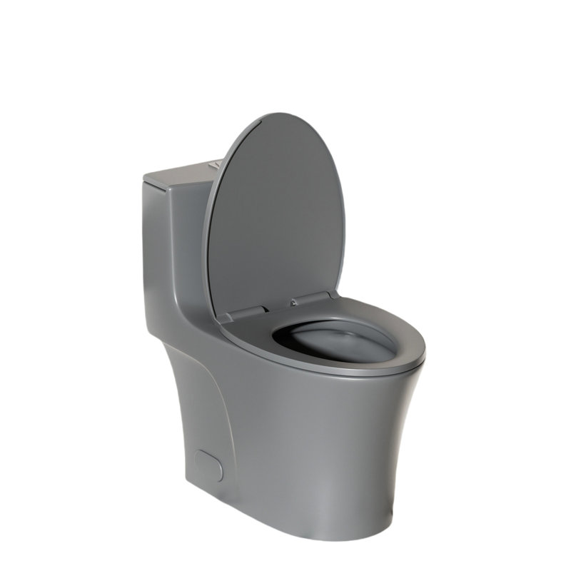 Toilette à eau de couleur grise 002, 1 / 1,60, hauteur confort allongée au sol avec siège à fermeture douce Congenial 002,
