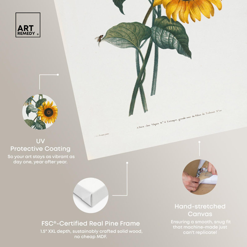 Art Remedy, impressions sur toile, tournesol, H 15 po x l 10 po, Toile tendue