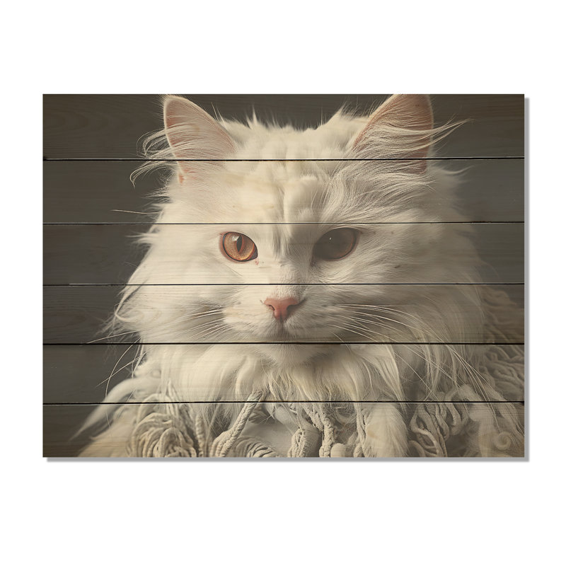 Selkirk Rex Cat Sophistication - Art mural en bois sur bois de pin naturel, H 24 po x l 32 po