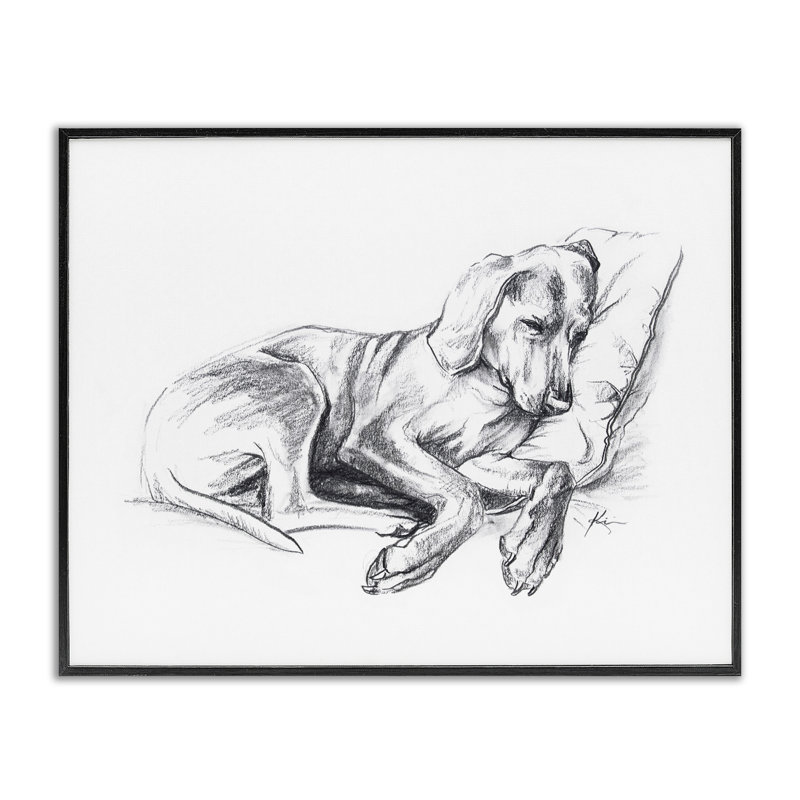 «Napping Dog», estampe numérique par Lindsay Kivi Fine Art, H 24 po x l 30 po, Giclée encadrée noir minuit