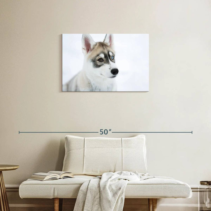 Brampt Glaring Husky, 20" H x 30" W