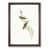 Walnut Framed selected