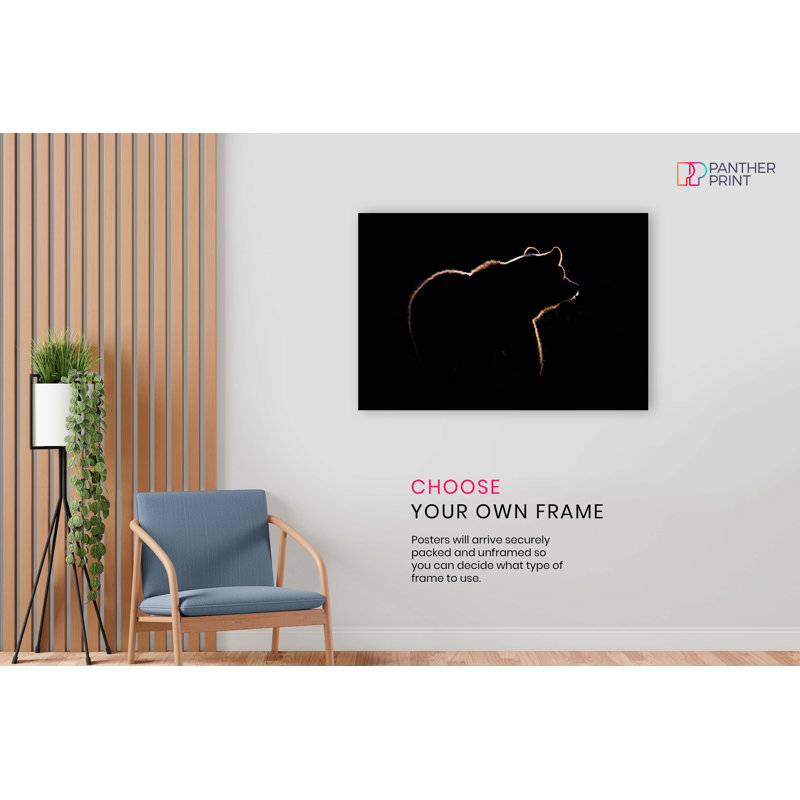 Bear In The Dark Wildlife - No Frame Print, 31cm H x 46cm W