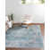 Alabama Oriental Indoor Rug