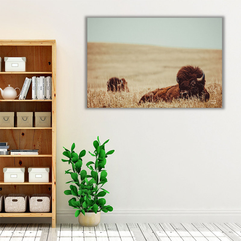 «Tall Grass Bison», reproduction d'art sur toile, H 20 po x l 30 po