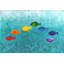Puckett «Rainbow Fish», reproduction sur toile tendue-1869589563