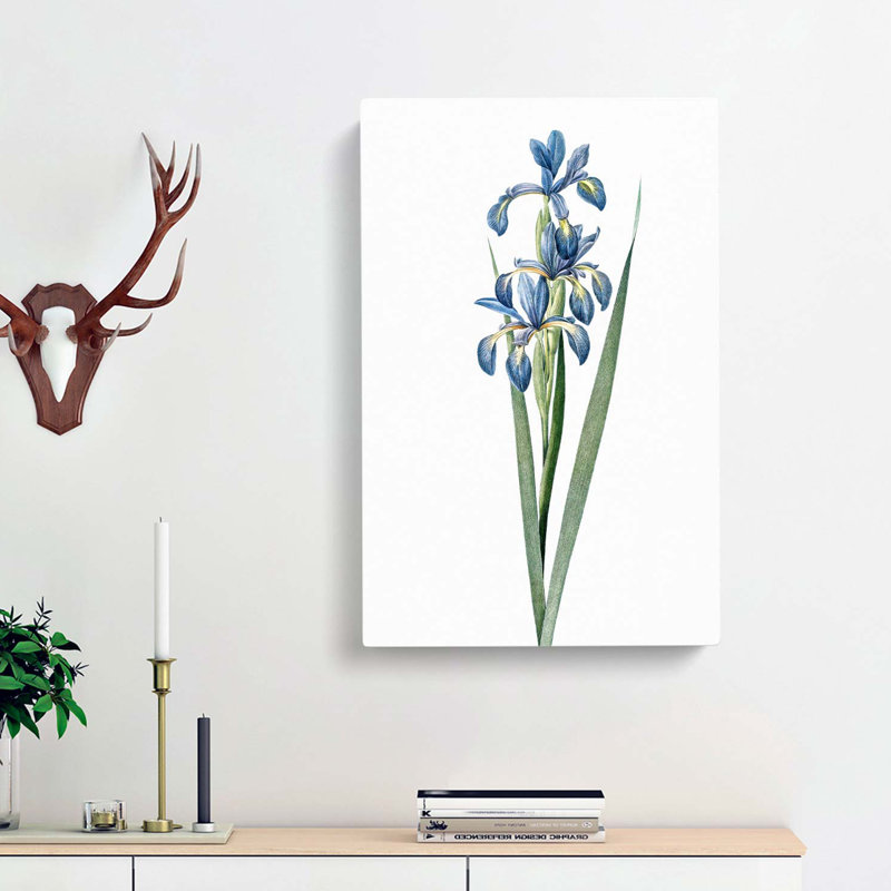 Blue Iris Flowers by Pierre-Joseph Redoute - Wrapped Canvas, 60cm H x 40cm W x 3cm D